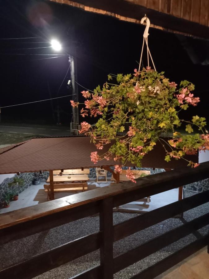 Casa Loredana Cîrţişoara Esterno foto