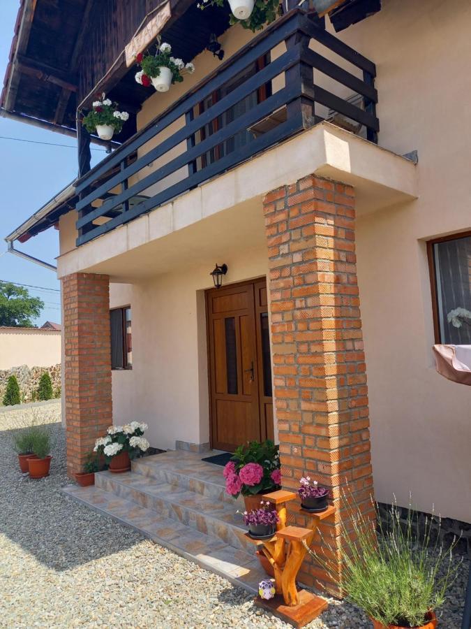Casa Loredana Cîrţişoara Esterno foto